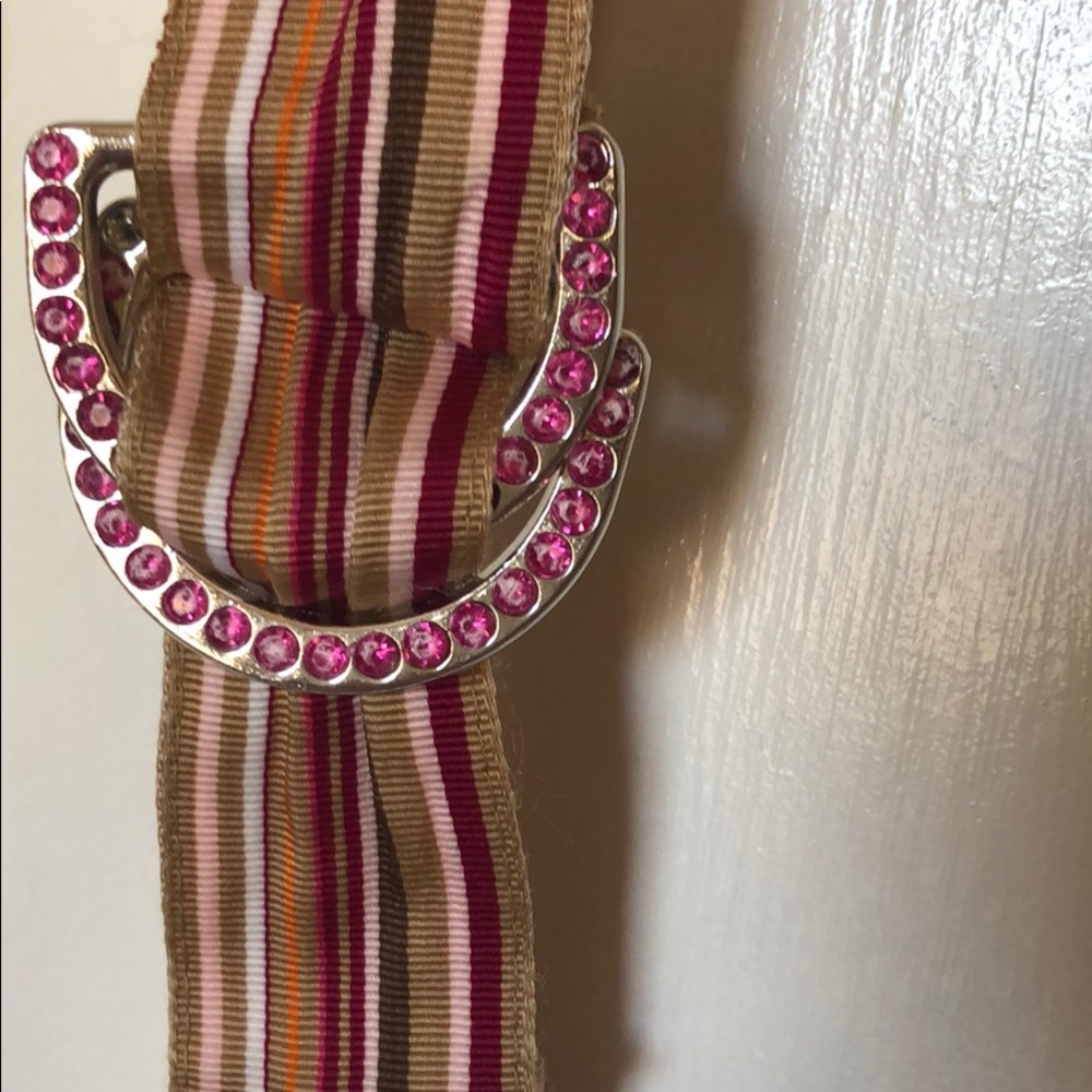 Ribbon belt with sparkle buckle